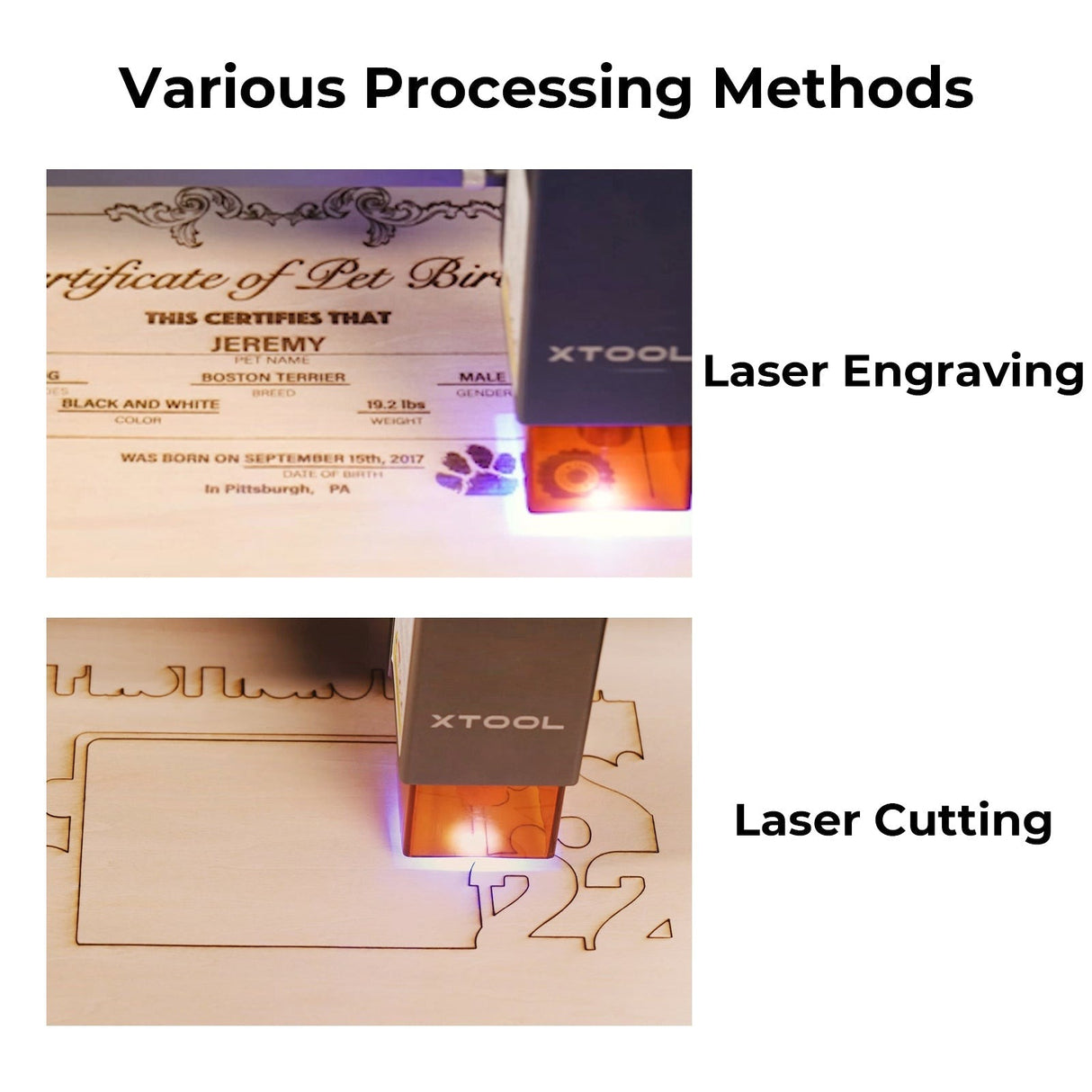 xTool laservineer: pähklipuu, 3mm 30*30cm, 6tk P5020089