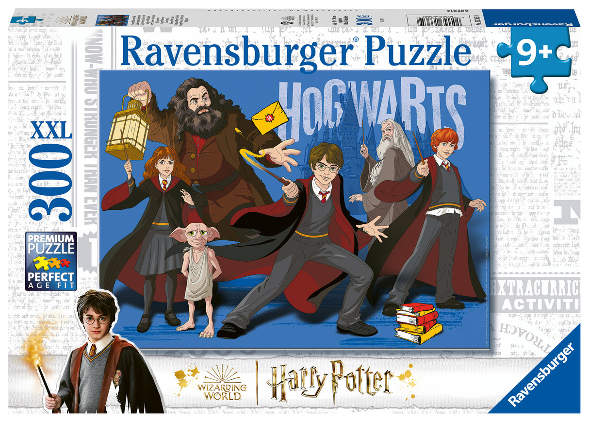 Ravensburger pusle 300 tk: Harry Potter ja sõbrad
133659V