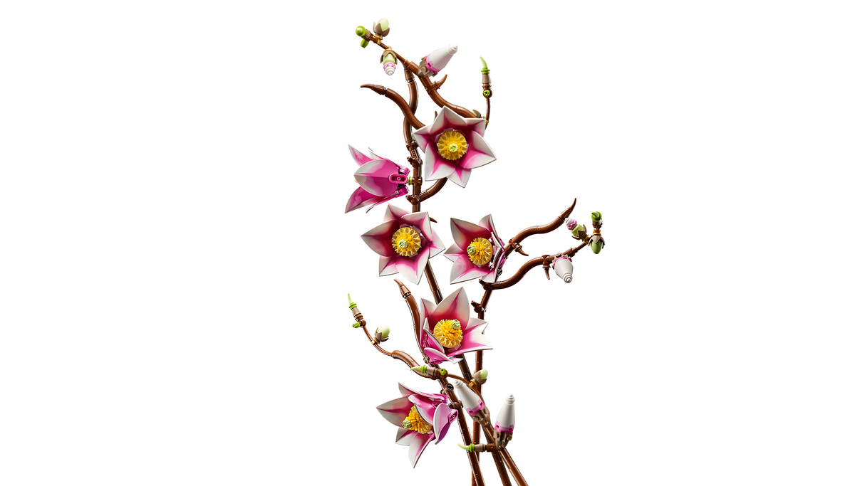 LEGO Botanicals Magnooliaoksad 11510L