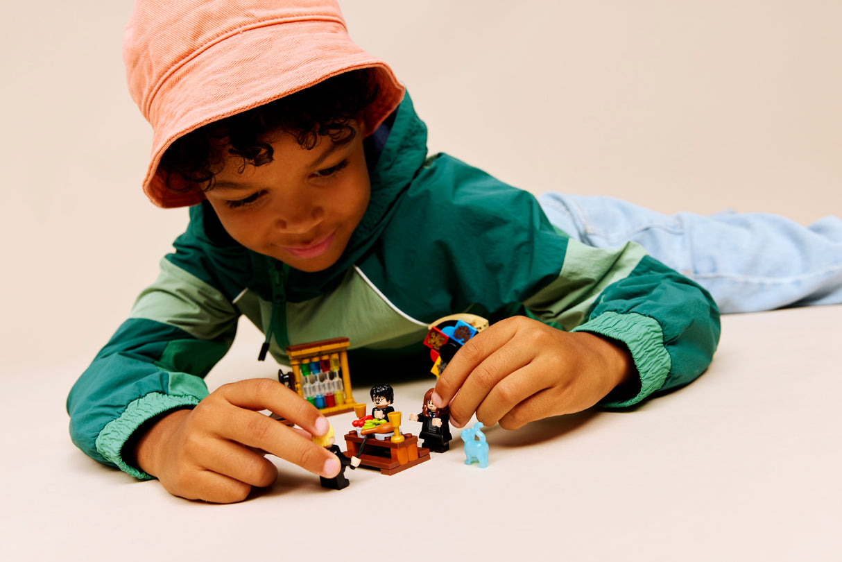 LEGO Harry Potter Sigatüüka loss: Sõõlamiskübara tseremoonia 76460L