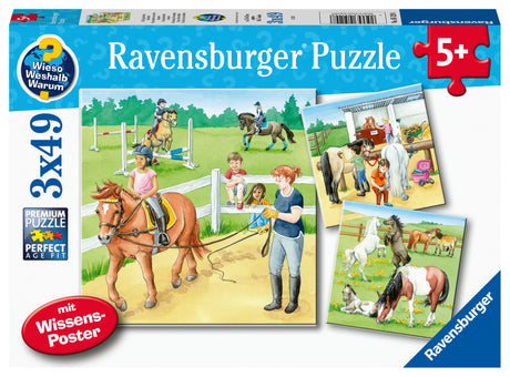 Ravensburger pusle 3x49 tk: Hobused 051298V