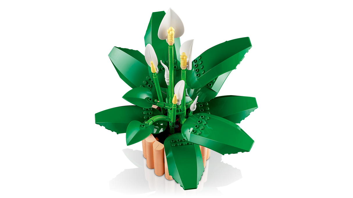 LEGO Botanicals Tõlvlehik 11504L