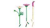 LEGO Botanicals Kosmoseõied 11514L