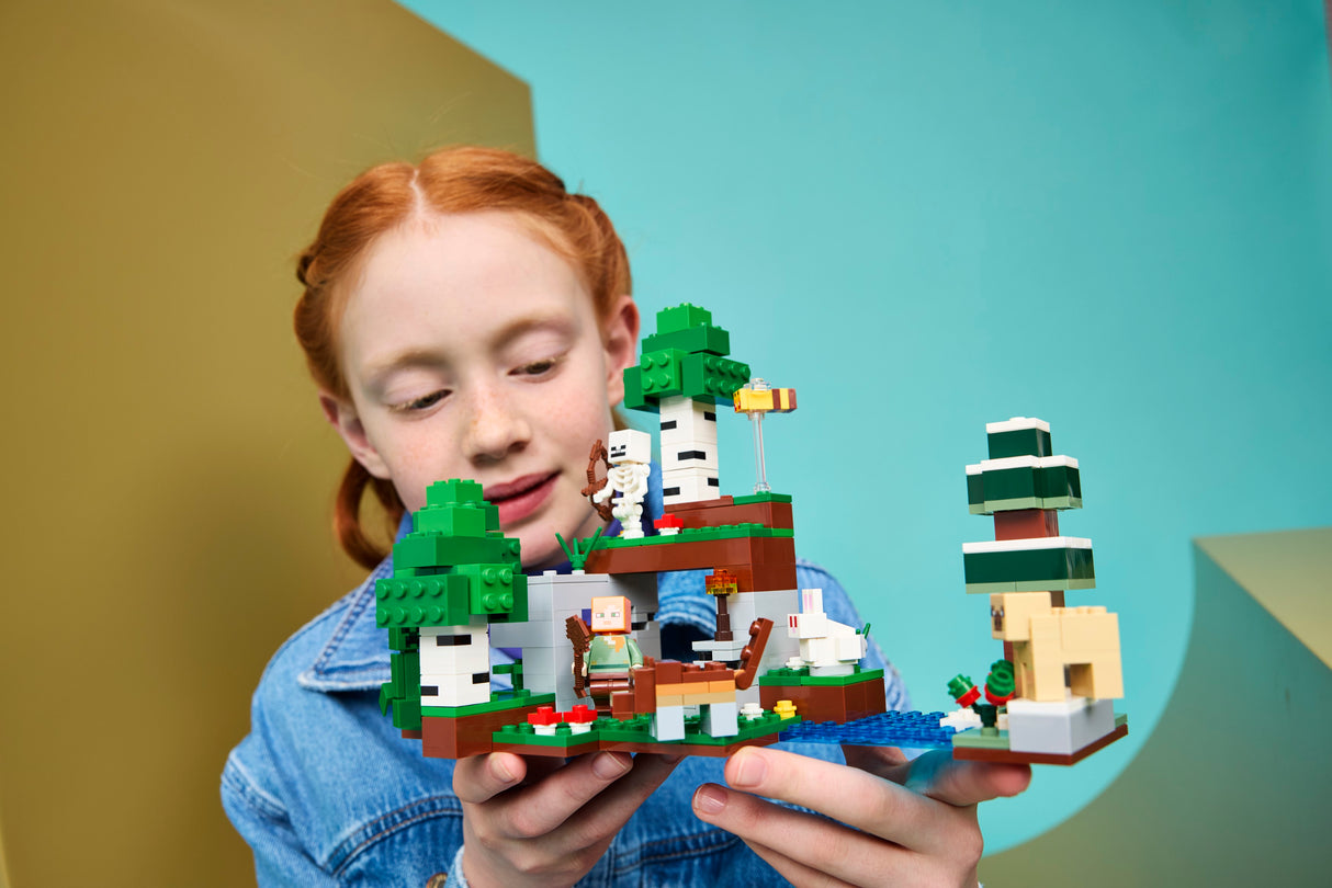 LEGO Minecraft Esimese öö seiklus 21593L
