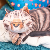 TTS vibreeriv raskusloom - kass 1,36kg SD10366B