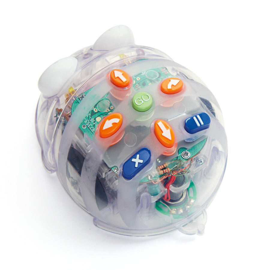 TTS Bee-Bot ja Blue-Bot roboti klassikomplekt  IT01243B