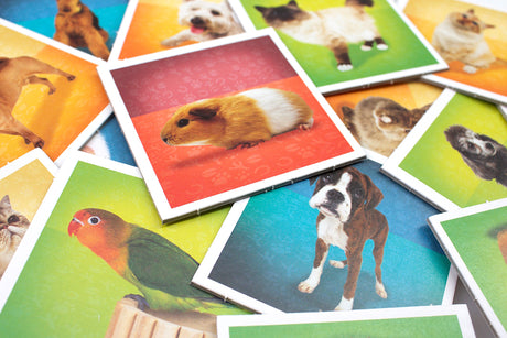 Tactic lauamäng Memo Loomad 41439T