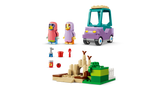 LEGO Bluey Vanaemad Bingo ja Blueyga 11216L